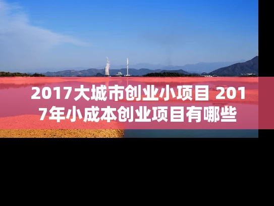 2017大城市创业小项目 2017年小成本创业项目有哪些