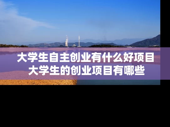 大学生自主创业有什么好项目 大学生的创业项目有哪些
