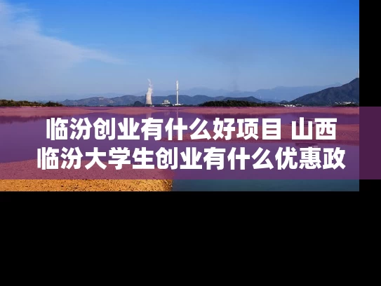 临汾创业有什么好项目 山西临汾大学生创业有什么优惠政策