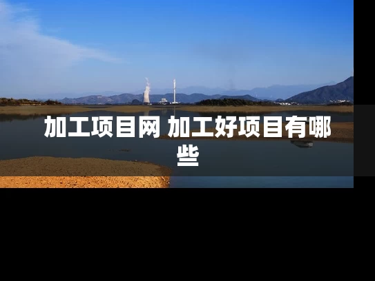 加工项目网 加工好项目有哪些