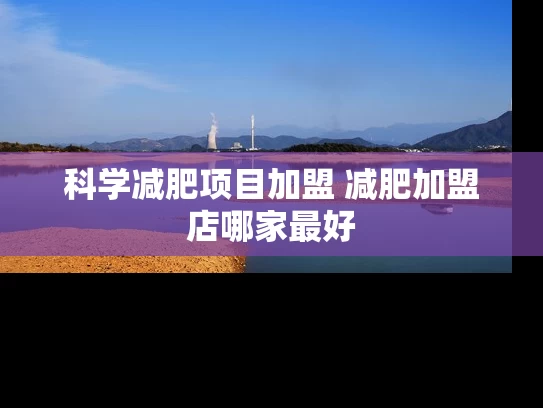 科学减肥项目加盟 减肥加盟店哪家最好