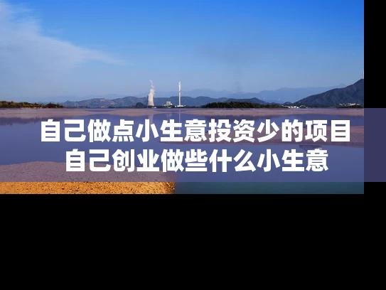 自己做点小生意投资少的项目 自己创业做些什么小生意
