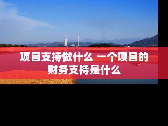 项目支持做什么 一个项目的财务支持是什么