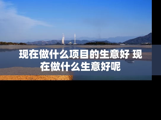 现在做什么项目的生意好 现在做什么生意好呢