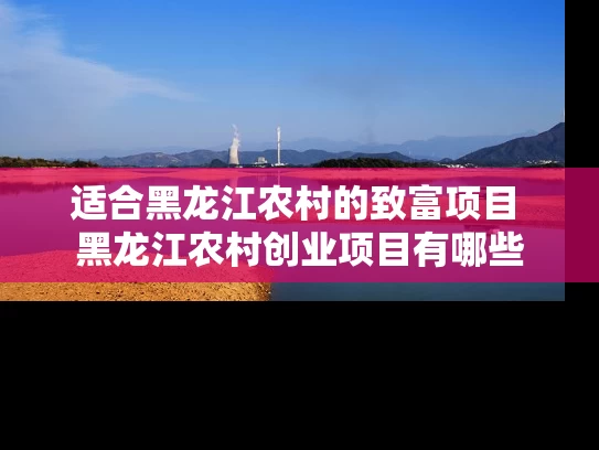 适合黑龙江农村的致富项目 黑龙江农村创业项目有哪些