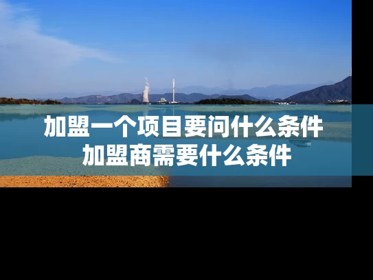 加盟一个项目要问什么条件 加盟商需要什么条件