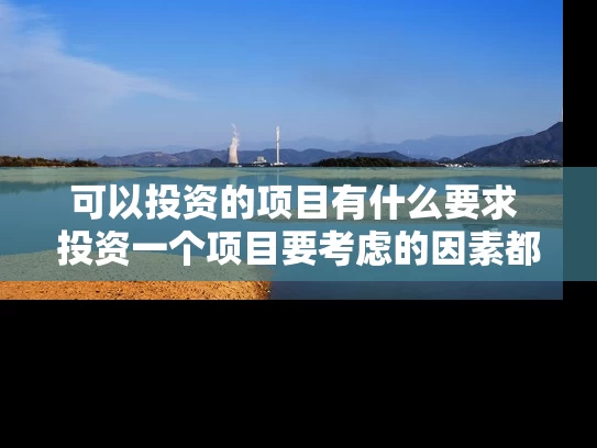 可以投资的项目有什么要求 投资一个项目要考虑的因素都有什么