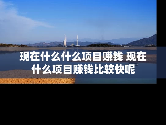 现在什么什么项目赚钱 现在什么项目赚钱比较快呢