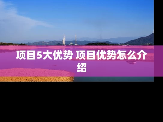 项目5大优势 项目优势怎么介绍