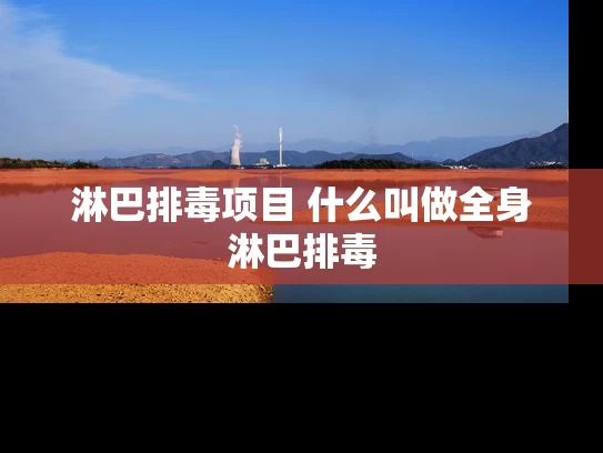 淋巴排毒项目 什么叫做全身淋巴排毒