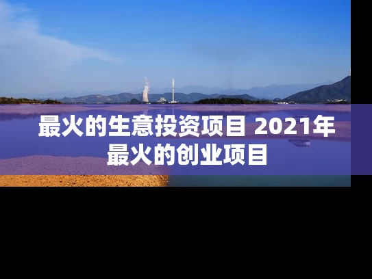 最火的生意投资项目 2021年最火的创业项目