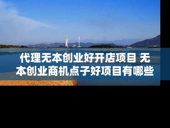 代理无本创业好开店项目 无本创业商机点子好项目有哪些