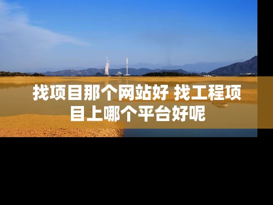 找项目那个网站好 找工程项目上哪个平台好呢