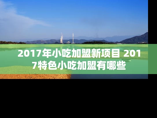 2017年小吃加盟新项目 2017特色小吃加盟有哪些