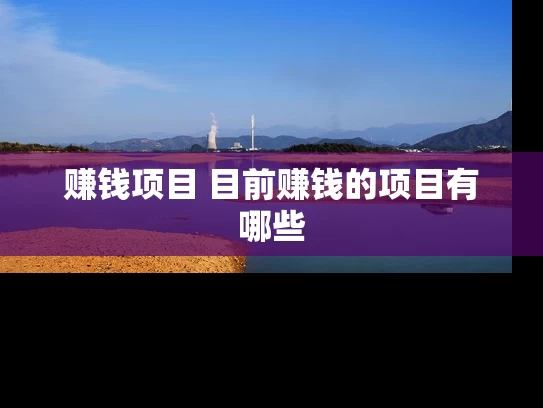 赚钱项目 目前赚钱的项目有哪些 赚钱项目 目前赚钱的项目有哪些