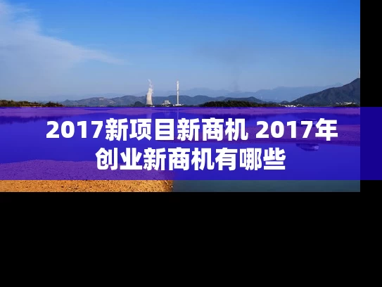 2017新项目新商机 2017年创业新商机有哪些