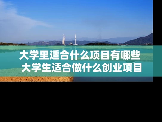 大学里适合什么项目有哪些 大学生适合做什么创业项目