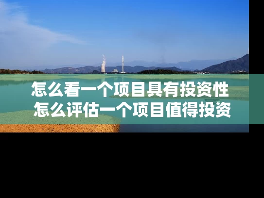怎么看一个项目具有投资性 怎么评估一个项目值得投资