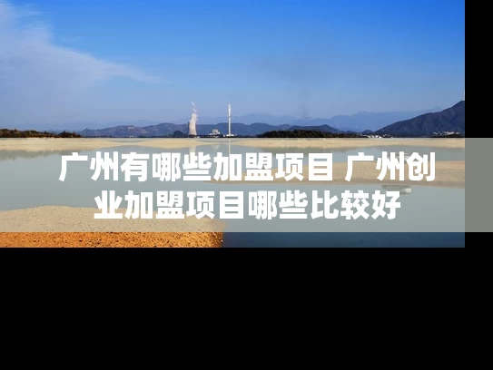广州有哪些加盟项目 广州创业加盟项目哪些比较好