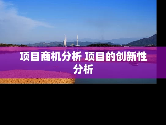 项目商机分析 项目的创新性分析