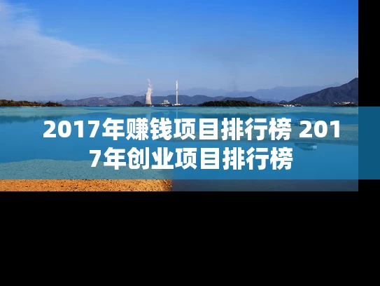 2017年赚钱项目排行榜 2017年创业项目排行榜