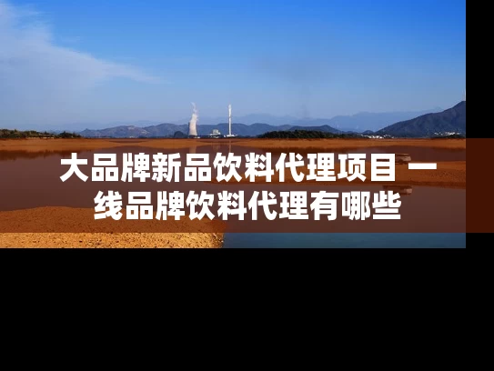 大品牌新品饮料代理项目 一线品牌饮料代理有哪些