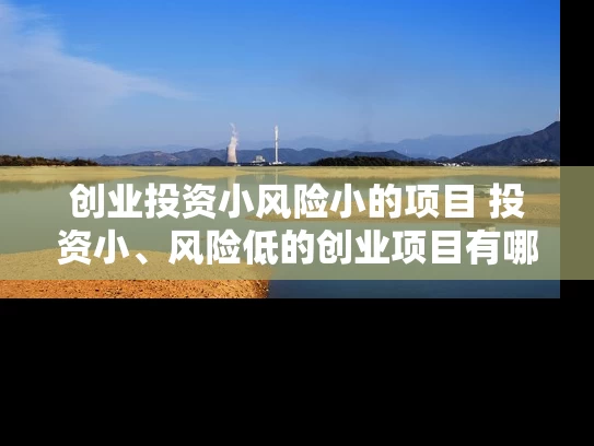 创业投资小风险小的项目 投资小、风险低的创业项目有哪些