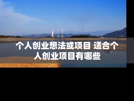 个人创业想法或项目 适合个人创业项目有哪些