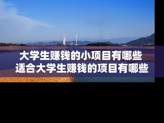 大学生赚钱的小项目有哪些 适合大学生赚钱的项目有哪些
