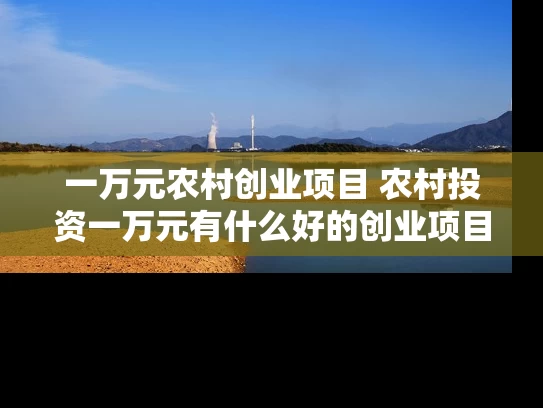 一万元农村创业项目 农村投资一万元有什么好的创业项目