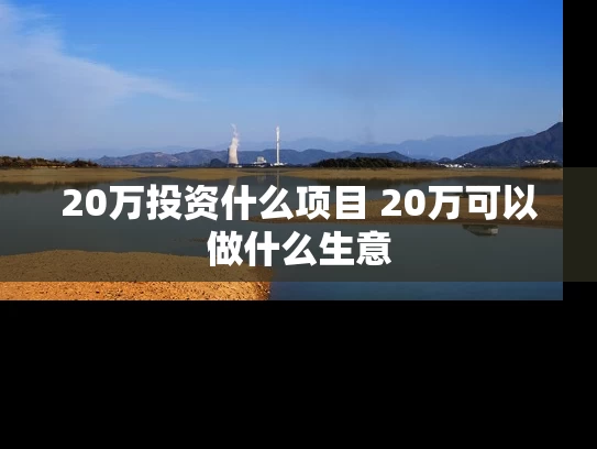 20万投资什么项目 20万可以做什么生意