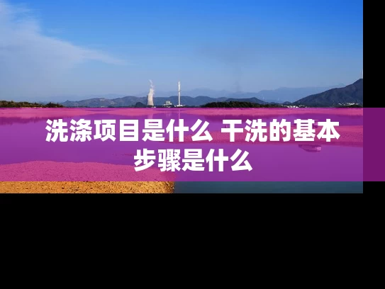 洗涤项目是什么 干洗的基本步骤是什么