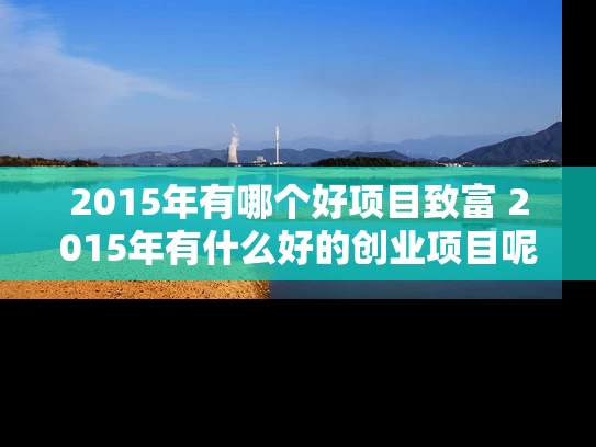 2015年有哪个好项目致富 2015年有什么好的创业项目呢