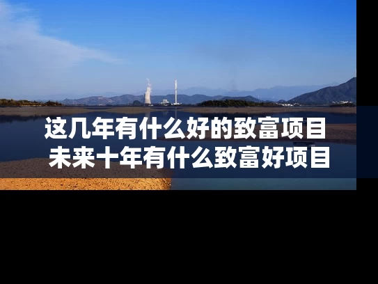 这几年有什么好的致富项目 未来十年有什么致富好项目