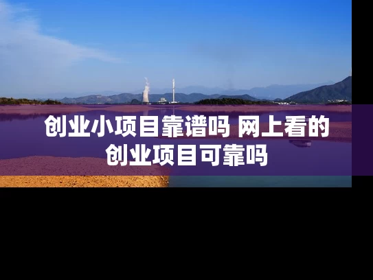 创业小项目靠谱吗 网上看的创业项目可靠吗