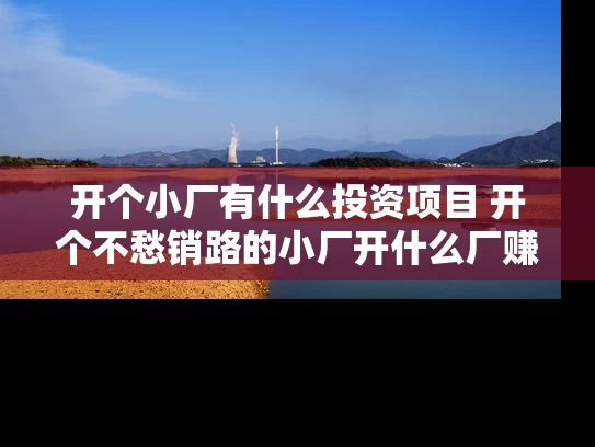开个小厂有什么投资项目 开个不愁销路的小厂开什么厂赚钱