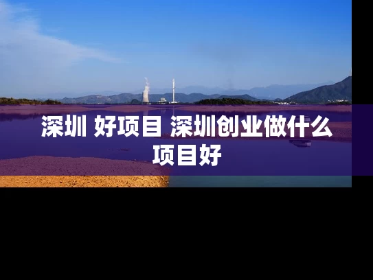 深圳 好项目 深圳创业做什么项目好