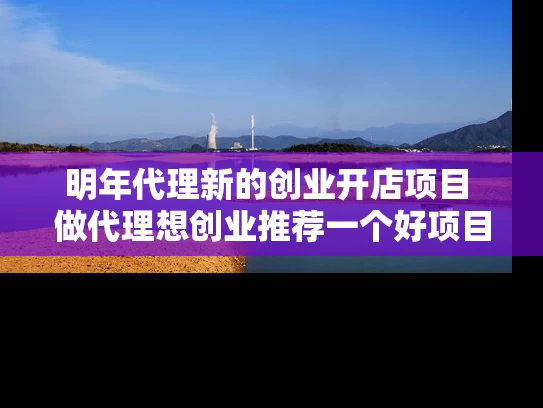 明年代理新的创业开店项目 做代理想创业推荐一个好项目