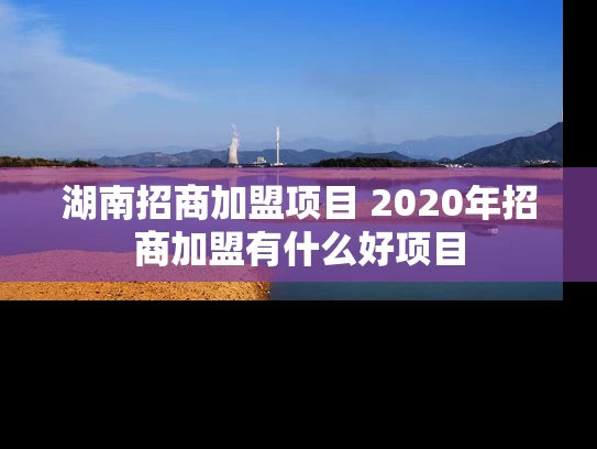 湖南招商加盟项目 2020年招商加盟有什么好项目