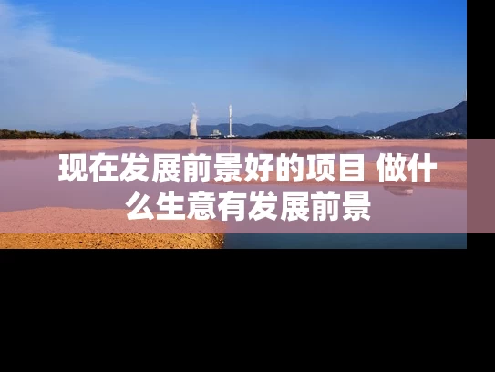 现在发展前景好的项目 做什么生意有发展前景