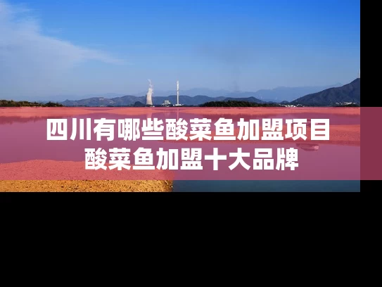 四川有哪些酸菜鱼加盟项目 酸菜鱼加盟十大品牌