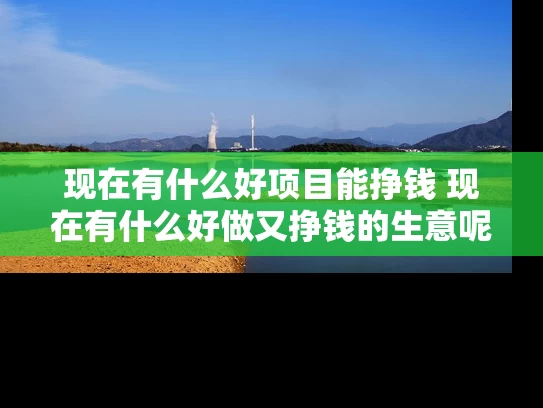 现在有什么好项目能挣钱 现在有什么好做又挣钱的生意呢