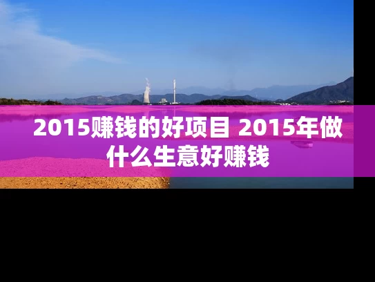 2015赚钱的好项目 2015年做什么生意好赚钱