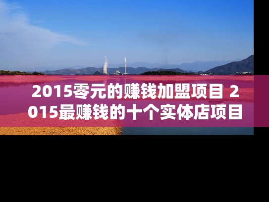 2015零元的赚钱加盟项目 2015最赚钱的十个实体店项目