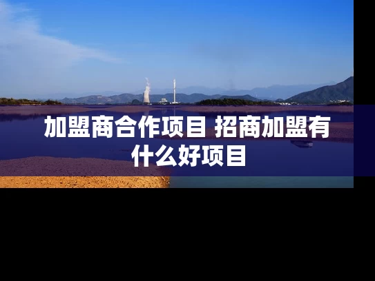 加盟商合作项目 招商加盟有什么好项目