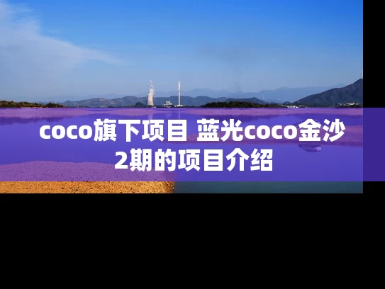 coco旗下项目 蓝光coco金沙2期的项目介绍