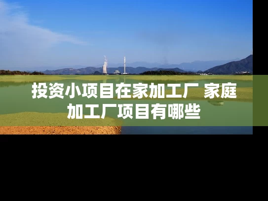 投资小项目在家加工厂 家庭加工厂项目有哪些