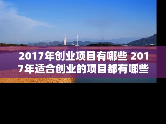 2017年创业项目有哪些 2017年适合创业的项目都有哪些