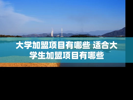 大学加盟项目有哪些 适合大学生加盟项目有哪些