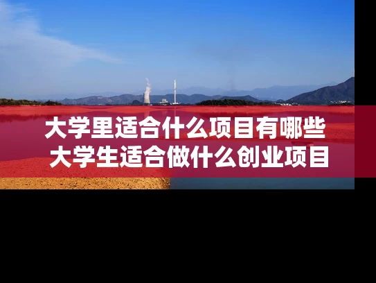 大学里适合什么项目有哪些 大学生适合做什么创业项目
